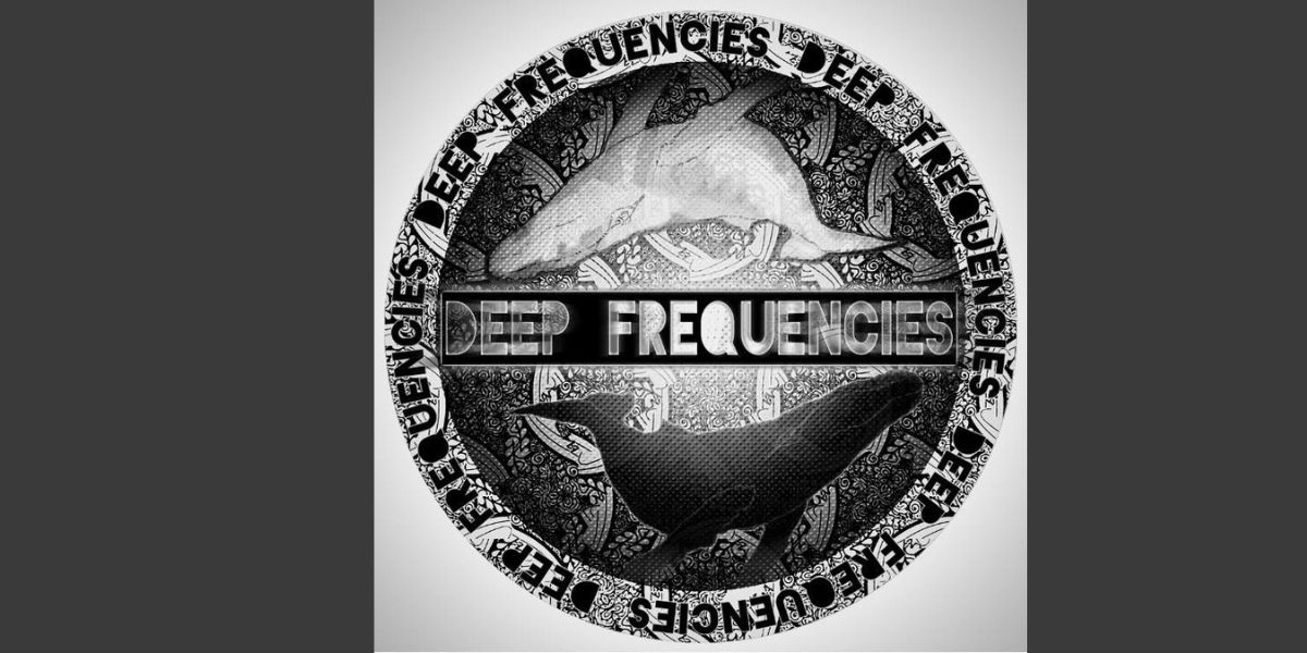 Deep Frequencies-Partner